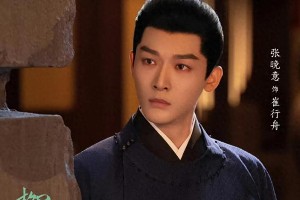 张晚意：从乔二强到淮阳王的演技蜕变与观众评价