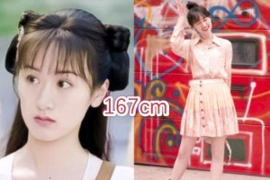 《琉璃》演员身高大揭秘：袁冰妍167cm，成毅181cm
