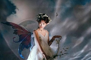 精彩图片集锦：视觉盛宴一览