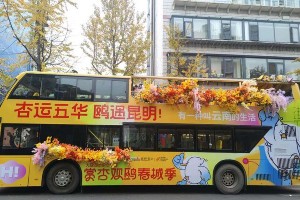 昆明方言提示牌与赏杏观鸥春城季活动
