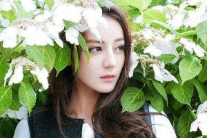 迪丽热巴、杨幂等明星迷人眼睛特点解析