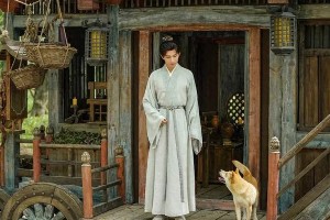 成毅主演的5部热门电视剧推荐：莲花楼、琉璃等