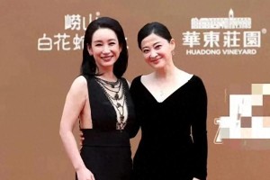 2025华表奖红毯：章子怡黑色优雅造型惊艳全场