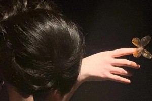 周也绝美壁纸合集：古装现代造型全收录