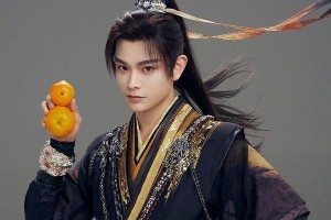 丁禹兮：从默默无闻到璀璨明星的成长与情感历程